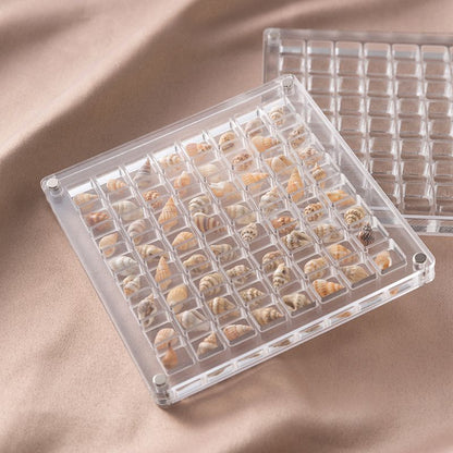 Acrylic Magnetic Seashell Display Box,Clear Sea Shell Display Box,Beach Magnet Storage Organizer Case for Seashell Diamond Beads,64 Grids,Transparent,1 Pack