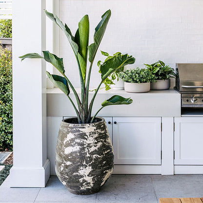 Speckled ceramic planter pot with tall leafy plant, rustic gray-green finish