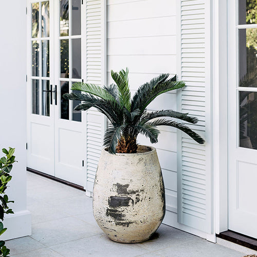 Speckled ceramic planter pot with dark green palm fronds, gray-green speckled glaze