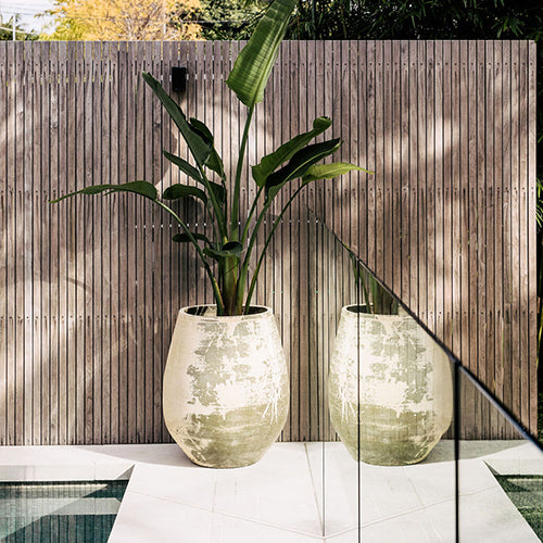 Pair of speckled ceramic planter pots with leafy plants, light gray-green finish