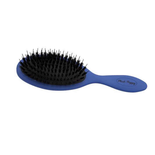 Anti-static porcupine dog hair brush with blue handle and black bristle pad