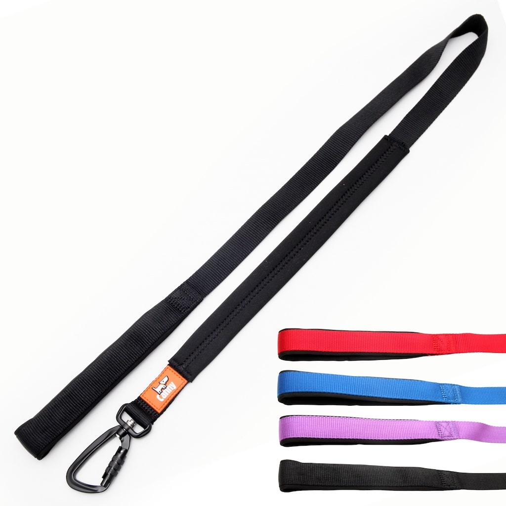 Leash with black webbing strap and orange label, metal snap clip and loop handle
