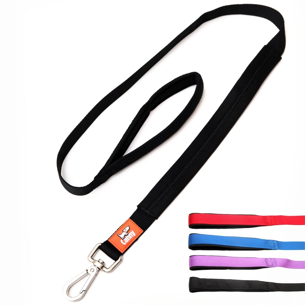 Leash with black webbing strap and orange label, metal snap clip end and loop handle