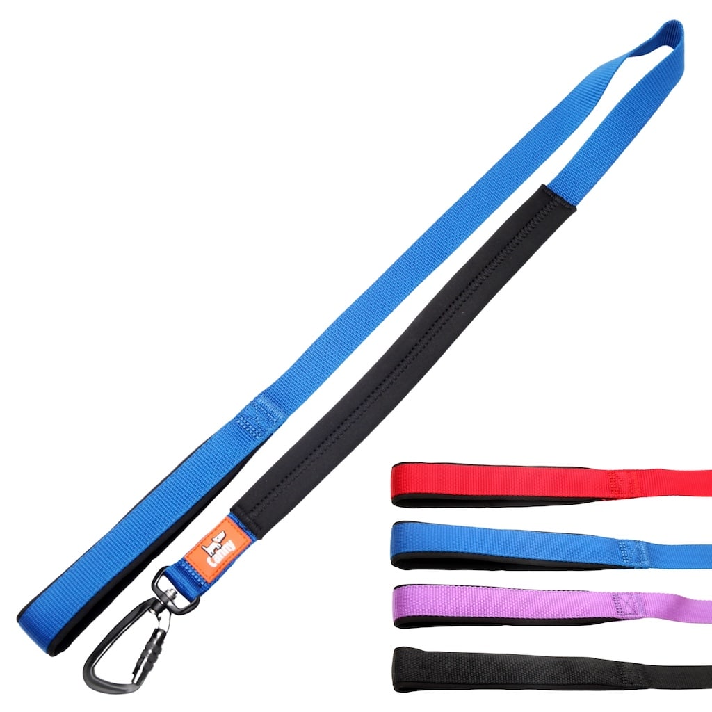 Leash with blue webbing strap, black trim, metal snap clip and loop handle