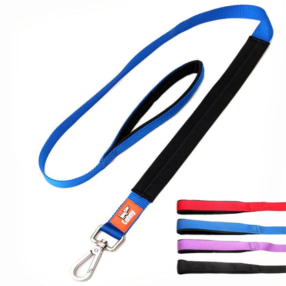 Leash with blue webbing strap and black trim, metal snap clip end and loop handle