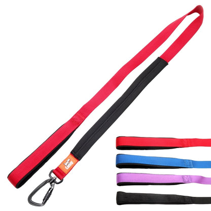 Leash with red webbing strap, black trim, metal snap clip and loop handle