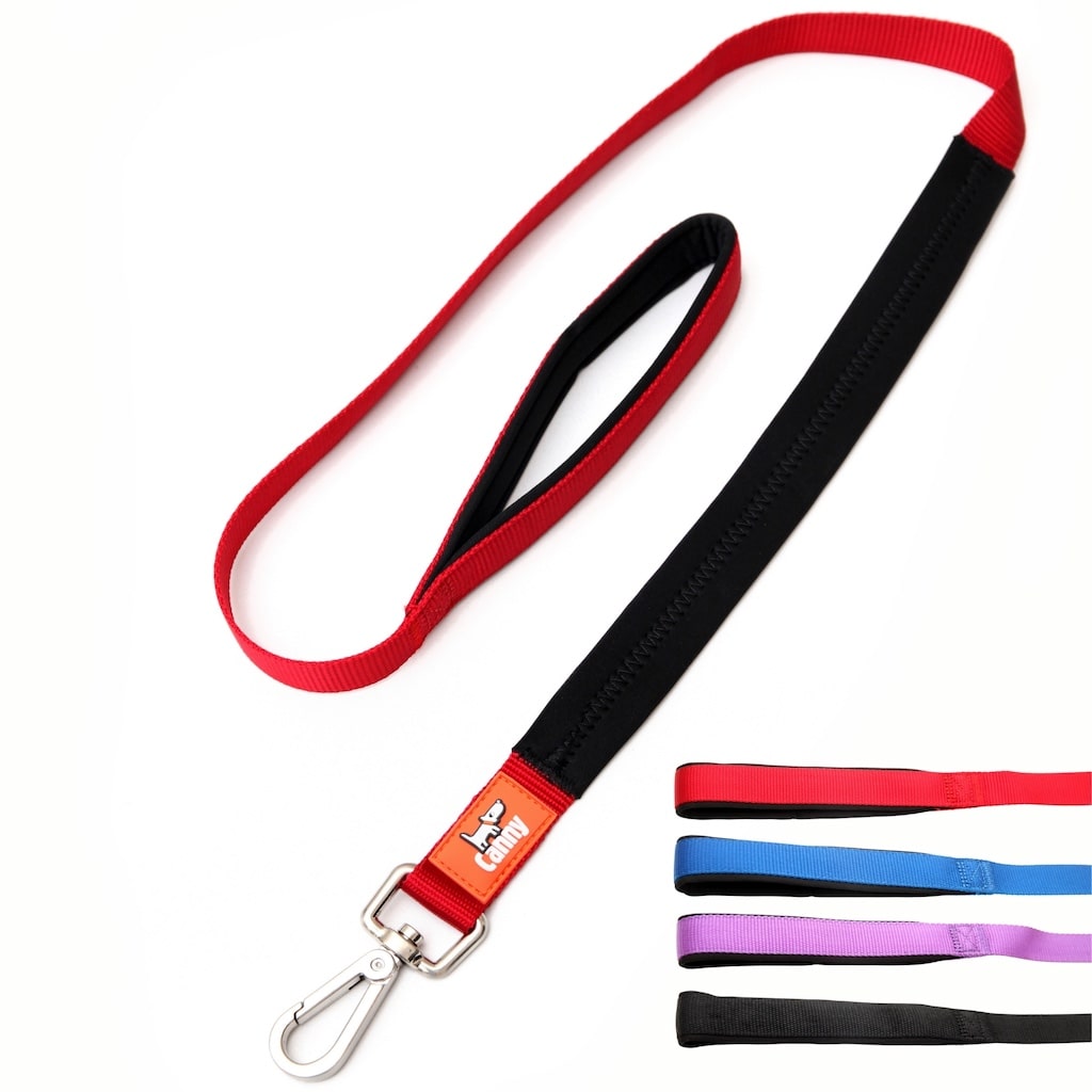 Leash with red webbing strap and black trim, metal snap clip end and loop handle