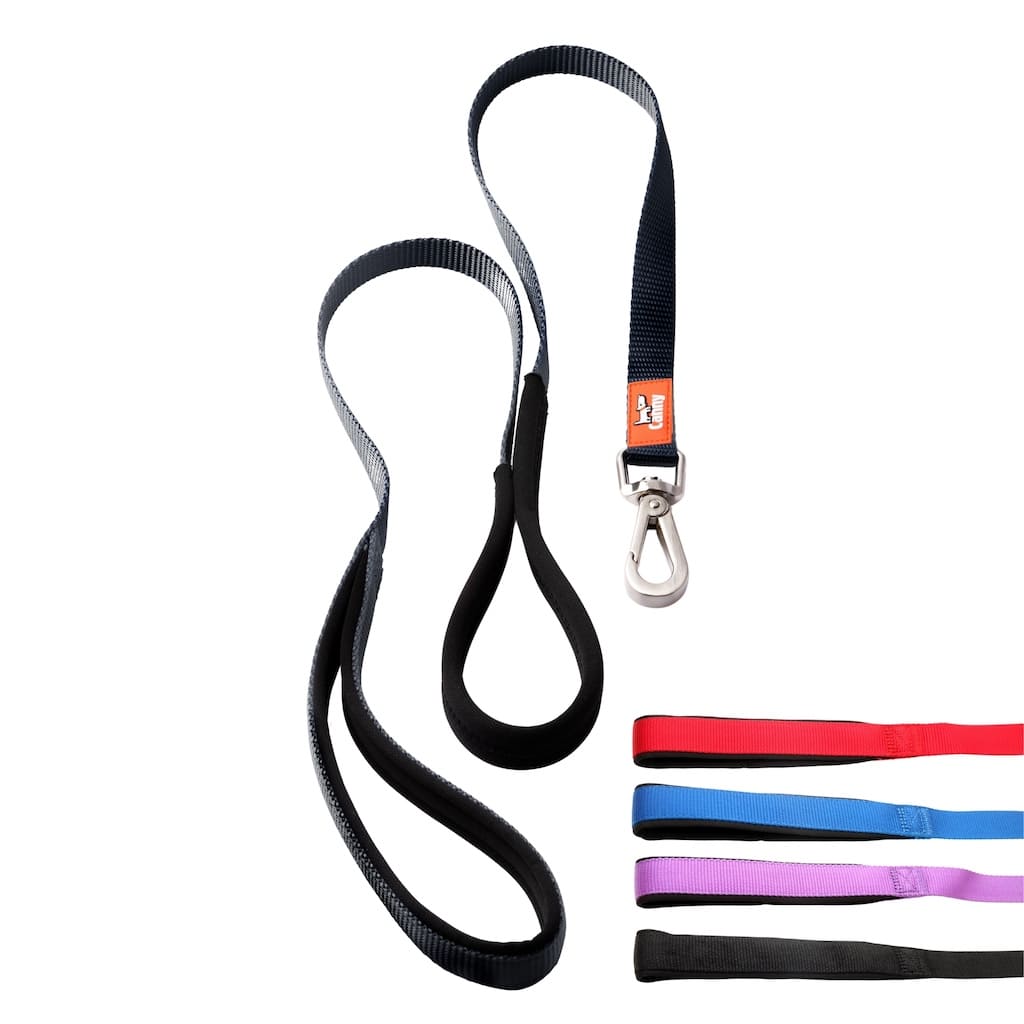 Dog lead set with dark strap and black webbing, two loops with metal snap clips