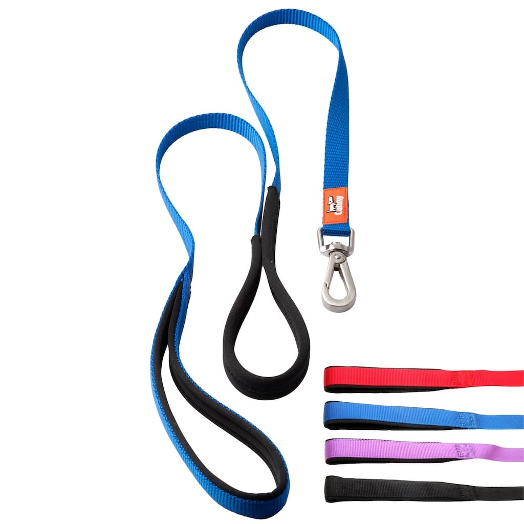 Dog lead set with blue strap and black webbing, two loops with metal snap clips