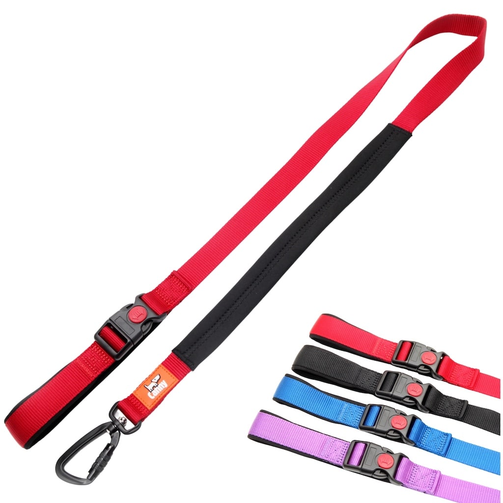 Canny CONNECT Lead
