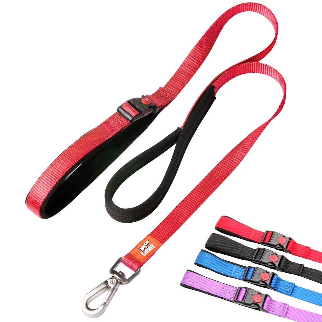 Canny CONNECT Lead