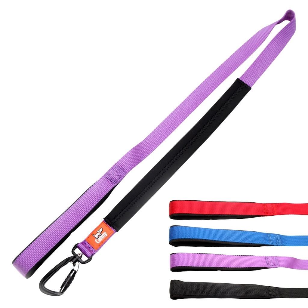 Leash with purple webbing strap, black trim, metal snap clip and loop handle