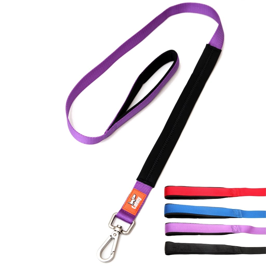 Leash with purple webbing strap and black trim, metal snap clip end and loop handle