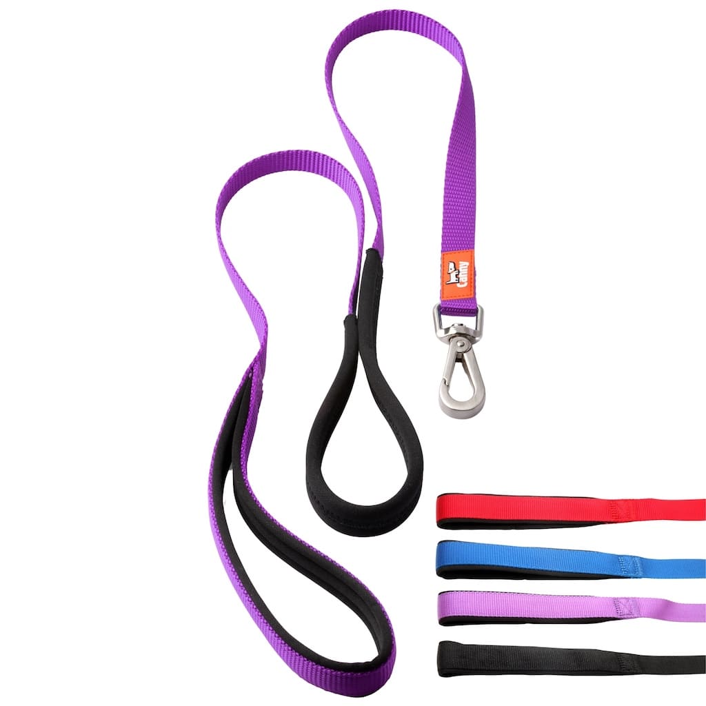 Dog lead set with purple strap and black webbing, two loops with metal snap clips