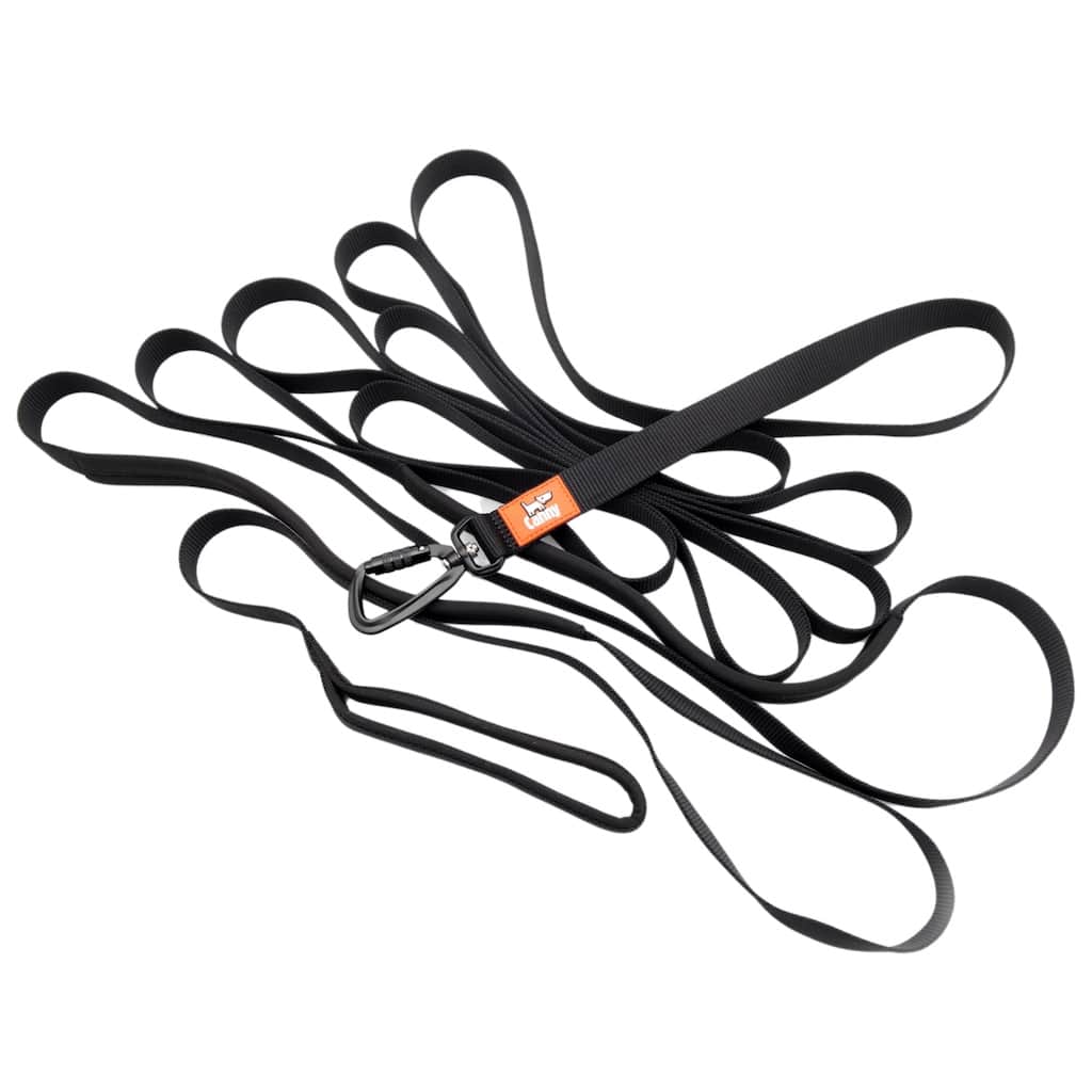 Black dog recall lead neatly looped with metal snap clips and orange brand label