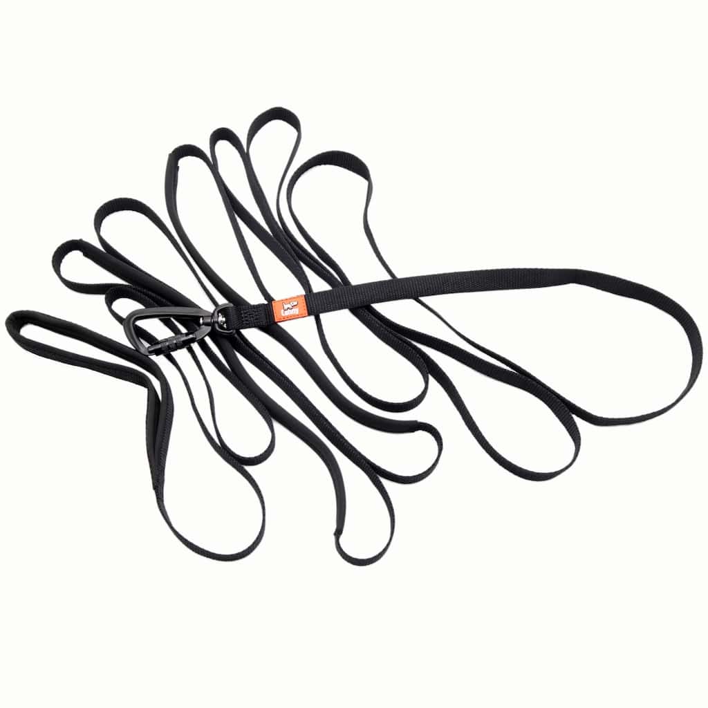 Looped black dog recall lead with metal snap clips and orange brand label