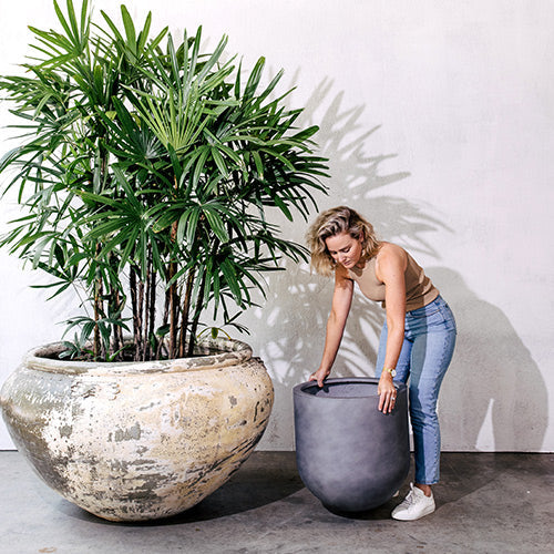 Round speckled concrete planter with leafy tree and a person beside it