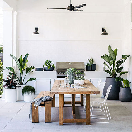 Indoor planter pots in white and dark grey with leafy plants