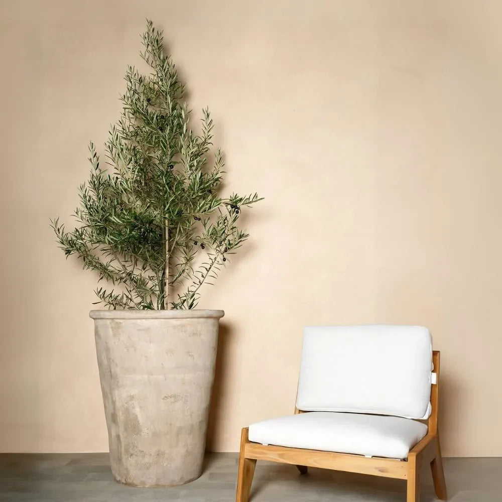 Conical planter pot with slender shrub and white cushion chair, on patio