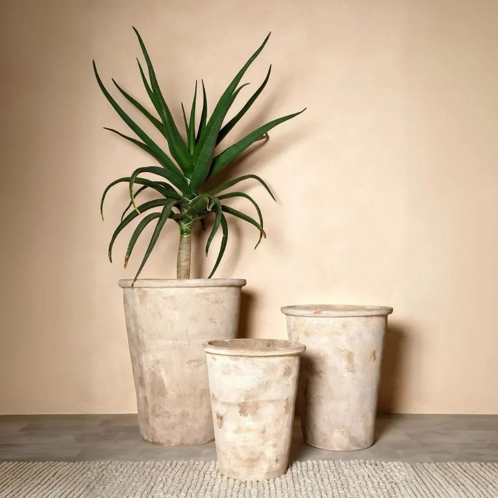 Conical planter pot set with tall plant, three light speckled sizes