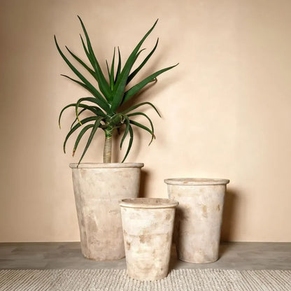 Conical planter pot set with tall plant, three light speckled sizes