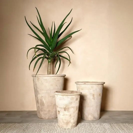 Conical planter pot set with tall plant, three light speckled sizes
