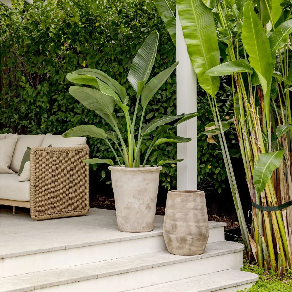 Conical planter pots on outdoor steps with leafy plants and tall tropical foliage
