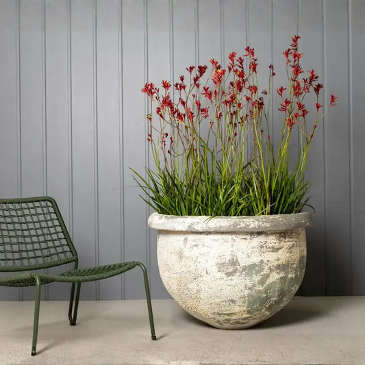 Gray speckled stone planter with red flower stems and long green grass