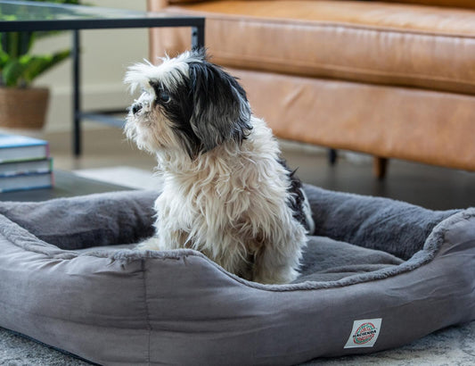 Gray heated pet bed with small dog resting inside