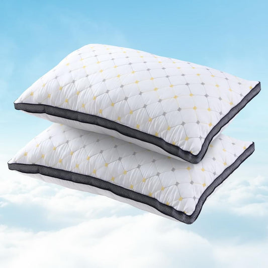 Giselle 2pcs Pillows Microfibre.
