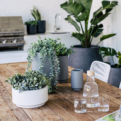 Round plant pot set with white planters on a wooden table