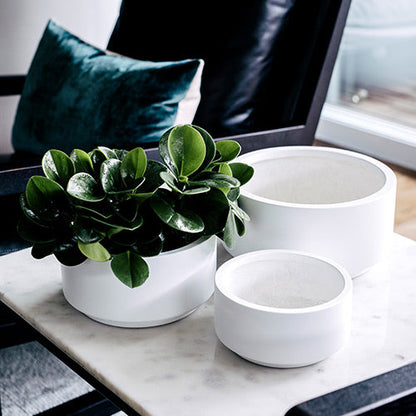 Round plant pot set with white planters and green succulent leaves