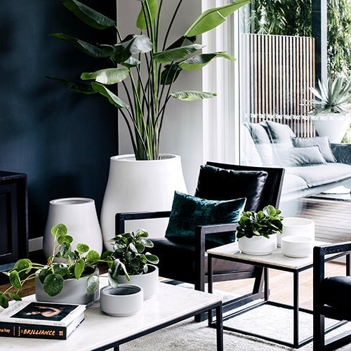 Round plant pot set with multiple pots, including a white planter with leaves