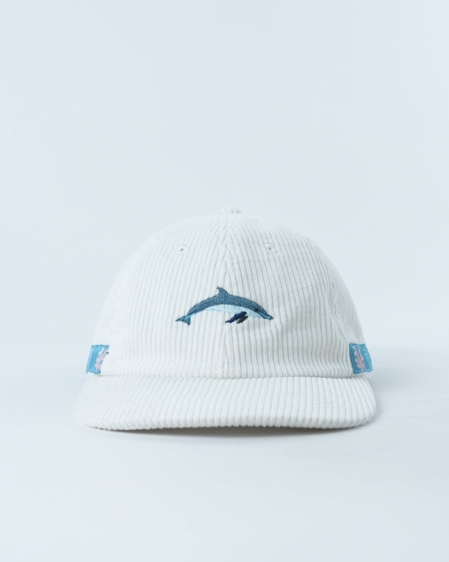 Cheeky Dolphin Lid