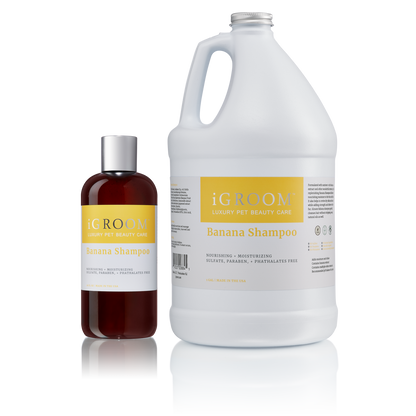 iGroom Banana Shampoo