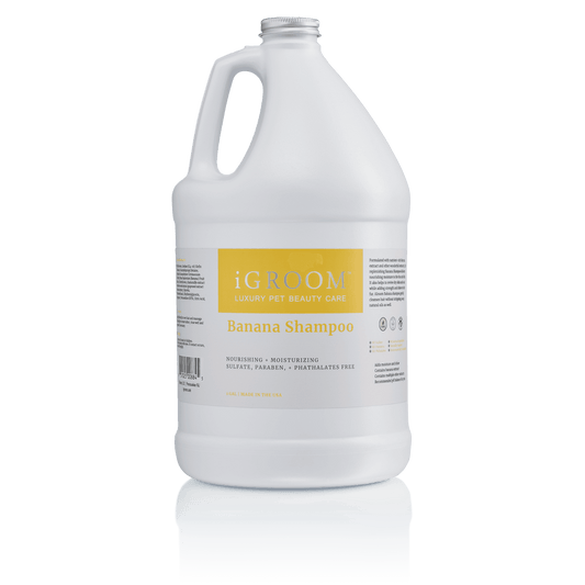 White shampoo jug with handle, silver cap, and Banana Shampoo label (iGROOM)