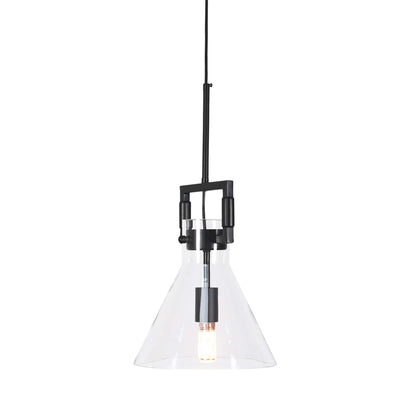 Black-hardware glass pendant light with visible bulb and clear bell shade
