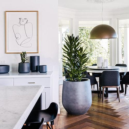 JITT planter pot in dark gray with a leafy plant in a bright living room