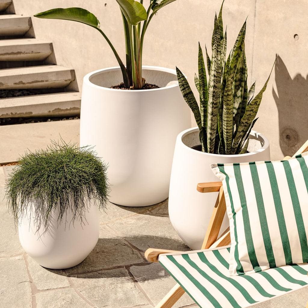 JITT planter pots in white with green plants, plus a striped cushion nearby