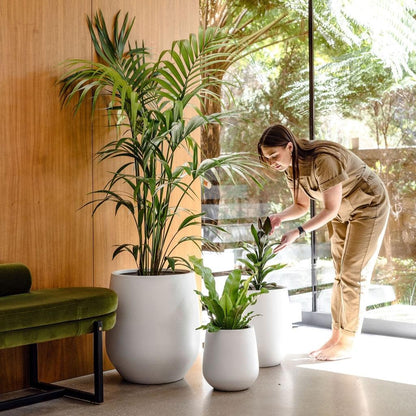 JITT planter pots with tall palms and smaller plants beside a seated couch