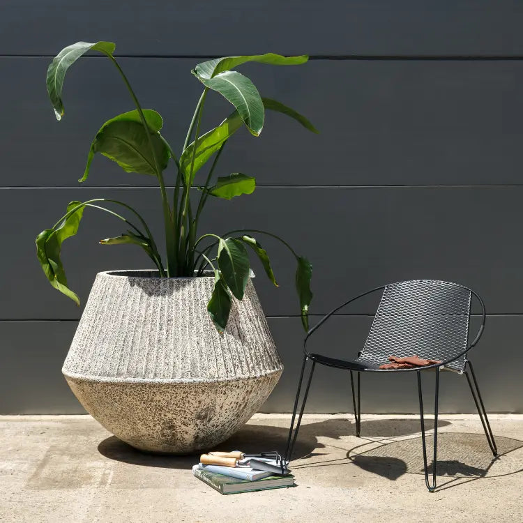 Textured ceramic planter pot with wide rim, holding green leafy stems