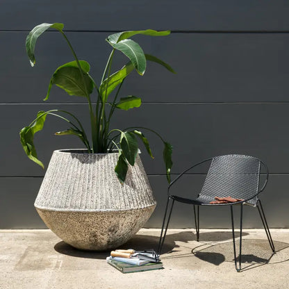 Textured ceramic planter pot with wide rim, holding green leafy stems