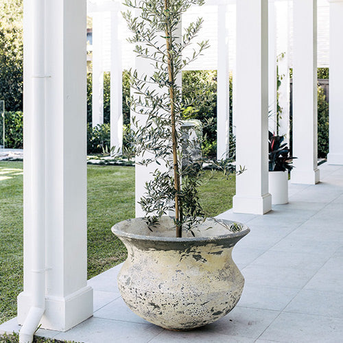 Concrete planter urn with textured speckled finish and upright plant