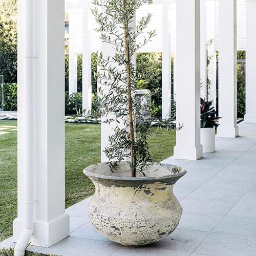 Concrete planter urn with textured speckled finish and upright plant