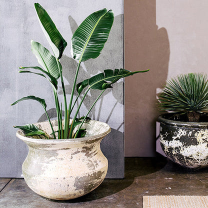 Speckled concrete planter urn with tropical green leaves