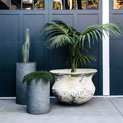 Concrete planter urn with speckled finish and palm-like plant