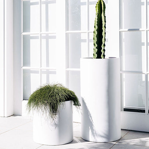 Set of two white cylindrical planters with cactus and small trailing grass plant.