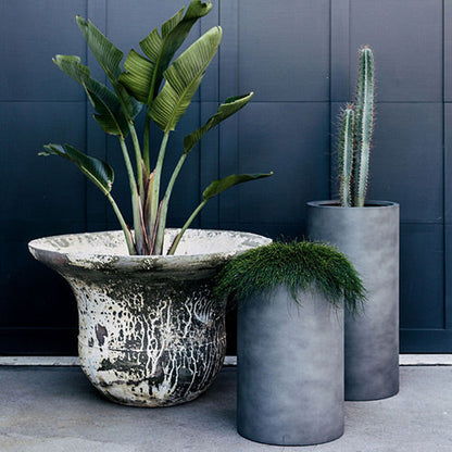 Set of three grey cylindrical plant pots with tall tropical plants.