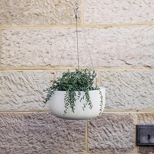 Hanging planter pot with white finish and trailing green foliage