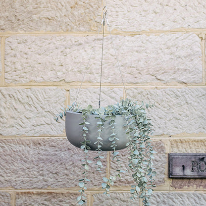 Hanging planter pot with dark gray finish and trailing green leaves